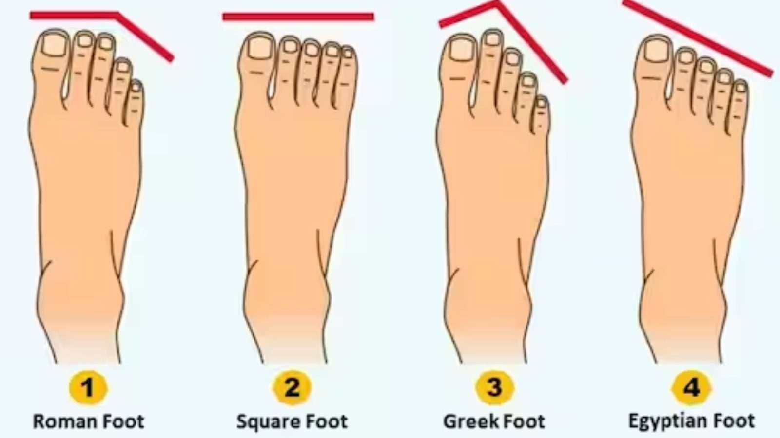 கால் விரல்கள் சொல்லும் ஆளுமை பண்புகள்... உங்களுக்கு எப்படி?