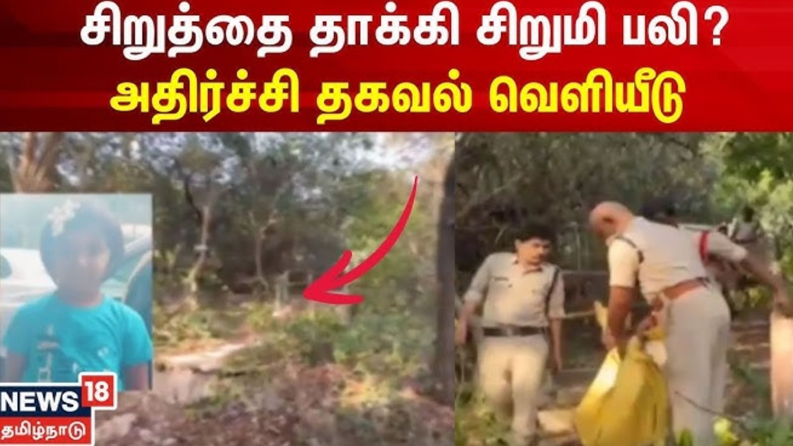 சிறுமியை கடித்து குதறிய சிறுத்தை.. திருப்பதி மலையில் நடந்த பயங்கரம்..