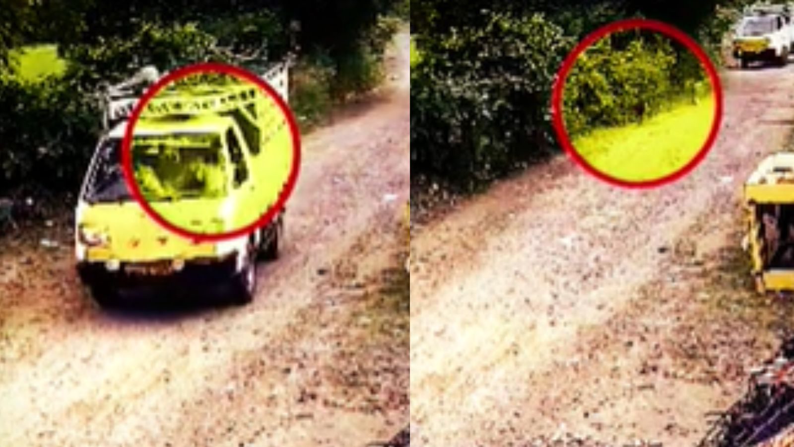 ரோட்டில் சுற்றித் திரிந்த நாய்... சரக்கு வாகனம் ஏற்றி கொன்ற கொடூர இளைஞர்!