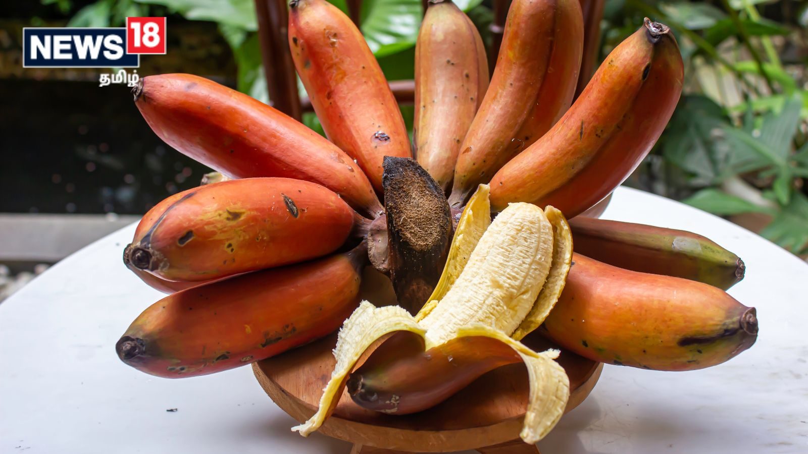 செவ்வாழை சாப்பிட சரியான நேரம் எது..? அதன் நன்மைகளையும் தெரிஞ்சுக்கோங்க..!