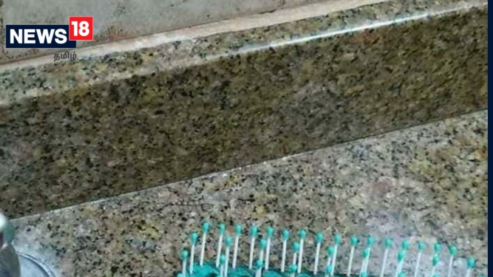 பாத்ரூமில் இருக்கும் பல்லியை 6 வினாடிகளில் உங்களால் கண்டுபிடிக்க முடியுமா?