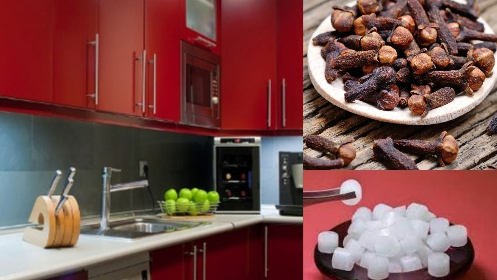 வாஸ்து தோஷம் நீங்கி, வருமானம் அதிகரிக்கணுமா? உங்கள் கிச்சனில் உள்ள சில பொருட்களே போதும்..!