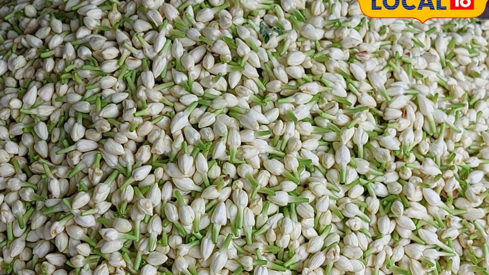 Aadi Amavasai 2023 : மதுரையில் பூக்களின் விலை அதிரடி உயர்வு.. முழு விலை நிலவரம் இதோ..