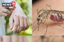 இயற்கையான முறையில் கொசுக்களை விரட்டும் அசத்தலான வழிகள்!!!