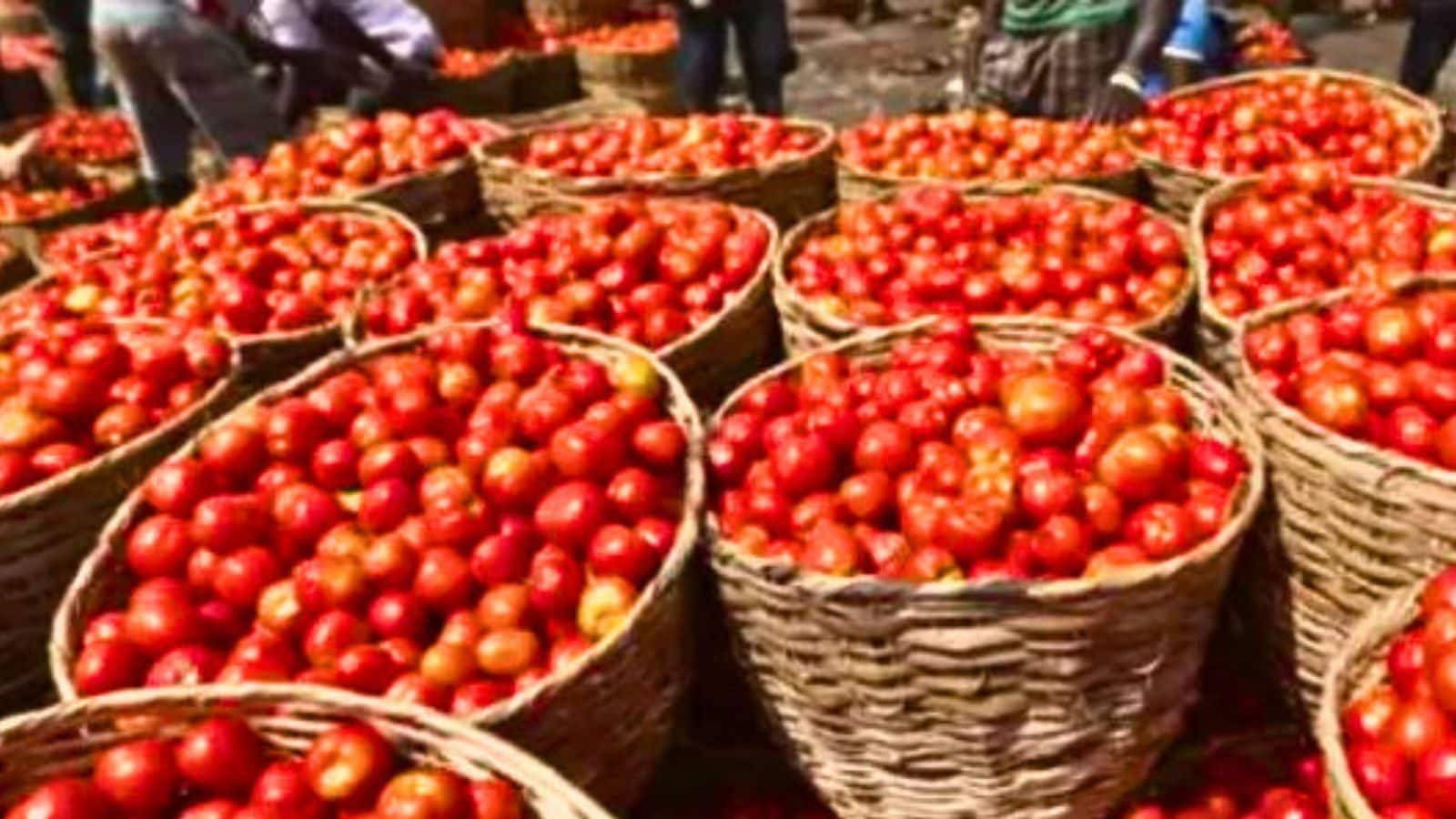 700 டன் வரத்து.. குறைந்தது தக்காளி விலை.. சென்னையில் ஒரு கிலோ எவ்வளவு தெரியுமா?