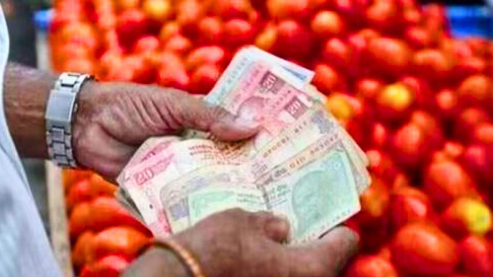 அதிரடியாக குறைந்த தக்காளி விலை... சந்தையில் குவிந்த மக்கள்.... ஒரு கிலோ எவ்வளவு தெரியுமா..?