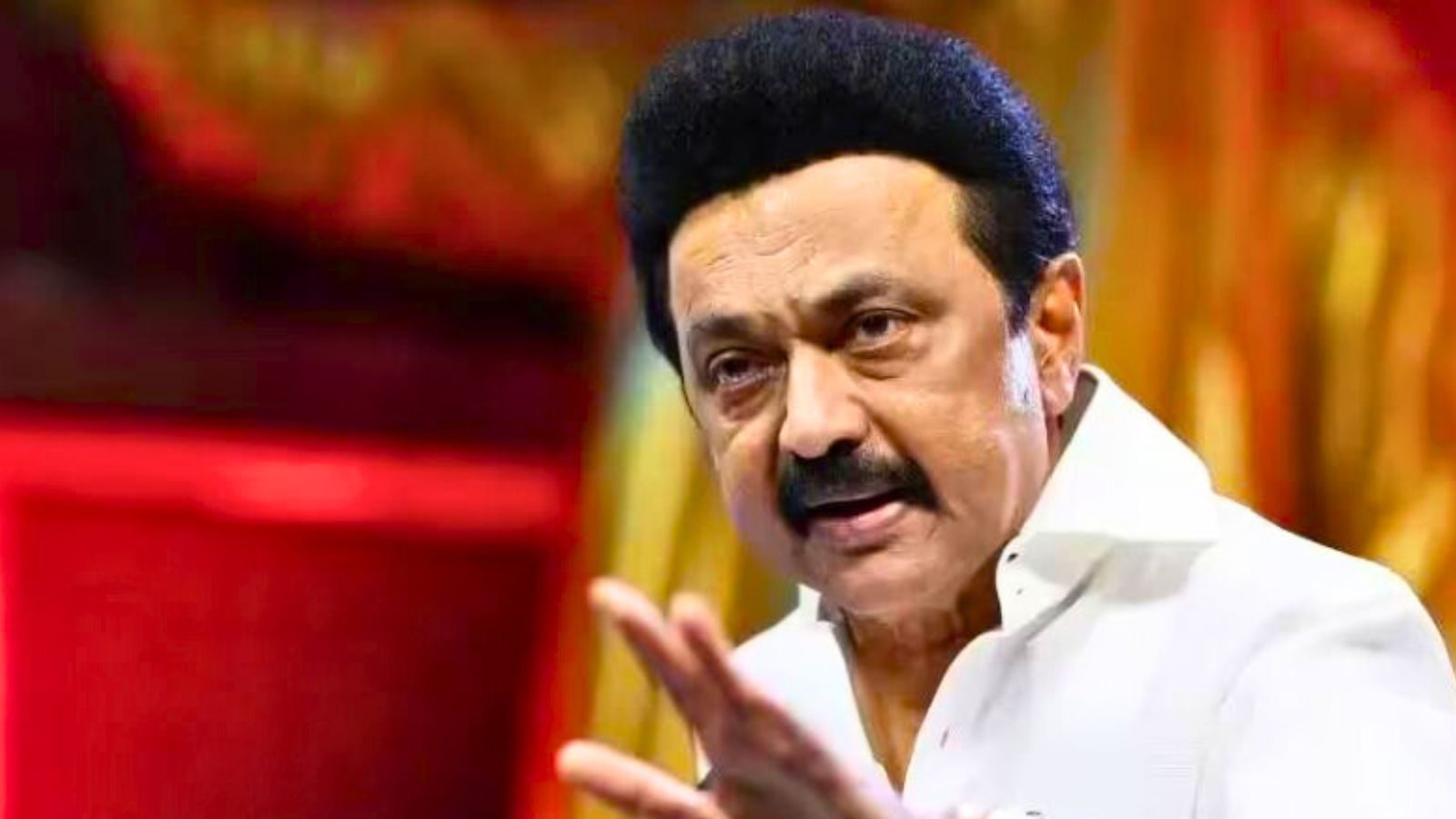 மாணவர்களே தன்னம்பிக்கையுடன் வாழ்ந்து காட்டுங்கள் - முதலமைச்சர் மு.க.ஸ்டாலின்