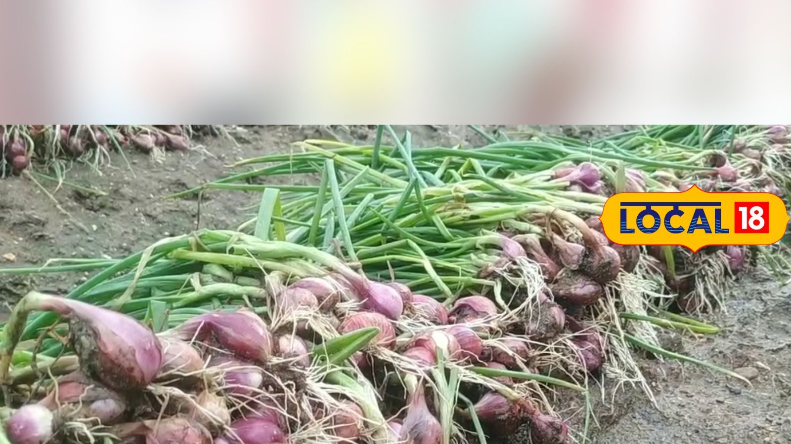 தக்காளி முடிஞ்சுது.. உயரும் வெங்காய விலை... புலம்பும் பொதுமக்கள்