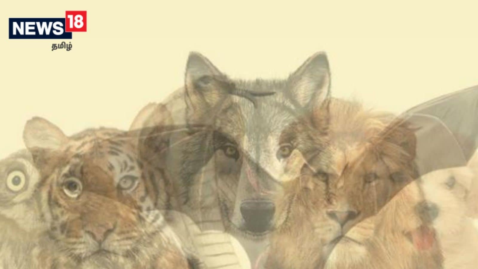 நீங்கள் முதலில் எந்த விலங்கை பார்த்தீங்கன்னு சொல்லுங்க.. உங்க ஆளுமையை நாங்க சொல்கிறோம்