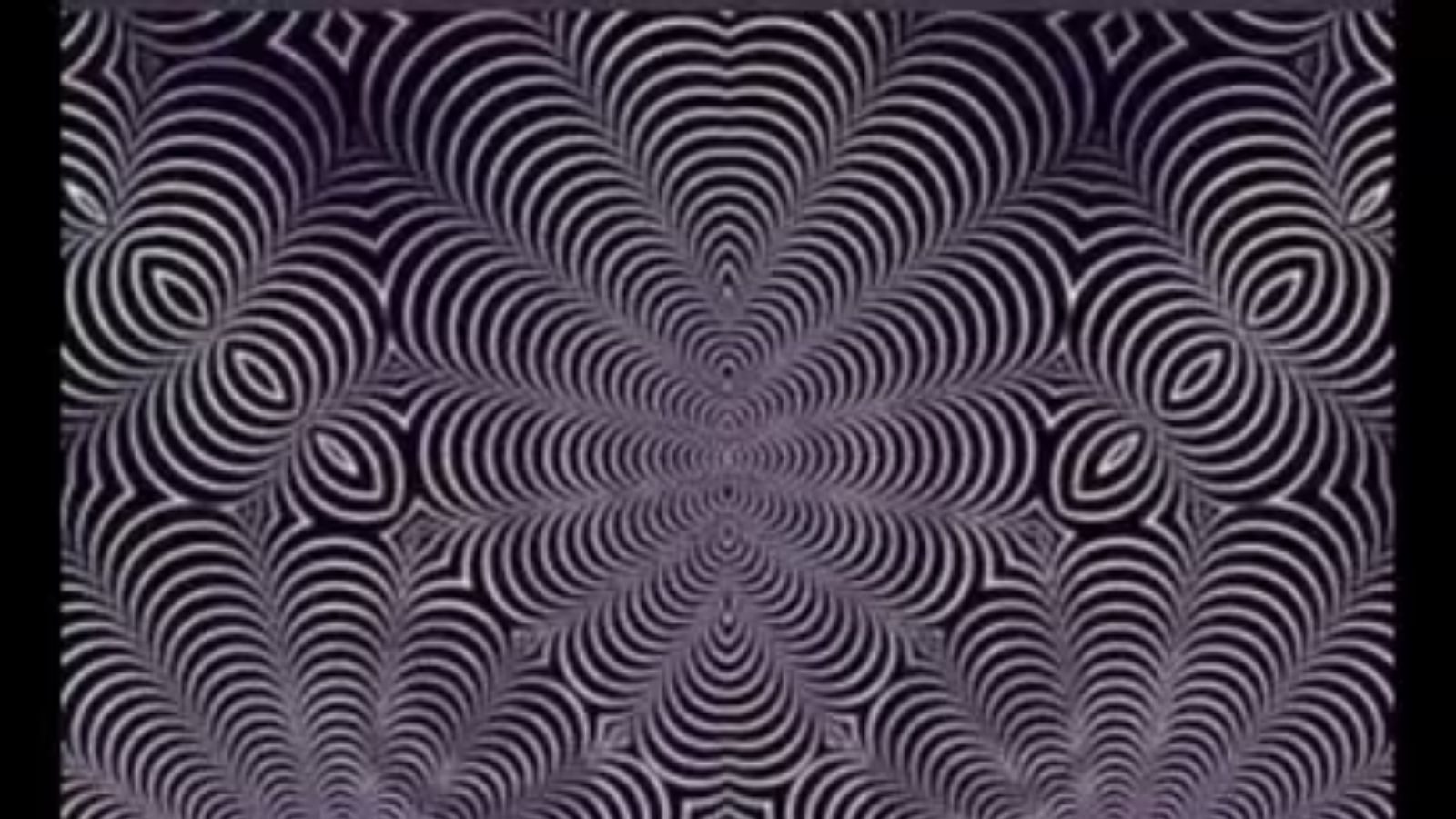 Optical Illusion : இந்த படத்தில் ஒரு விலங்கு மறைந்துள்ளது... உங்களால் கண்டுப்பிடிக்க முடியுமா?