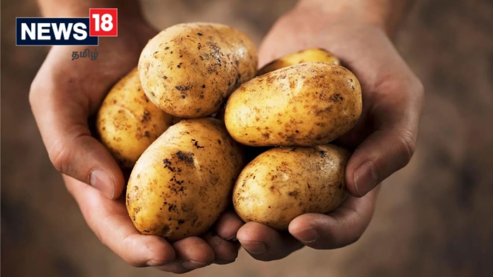 உருளைக்கிழங்கு ஆரோக்கியமற்ற காய்கறியா..? அவசியம் தெரிஞ்சுக்கோங்க..!