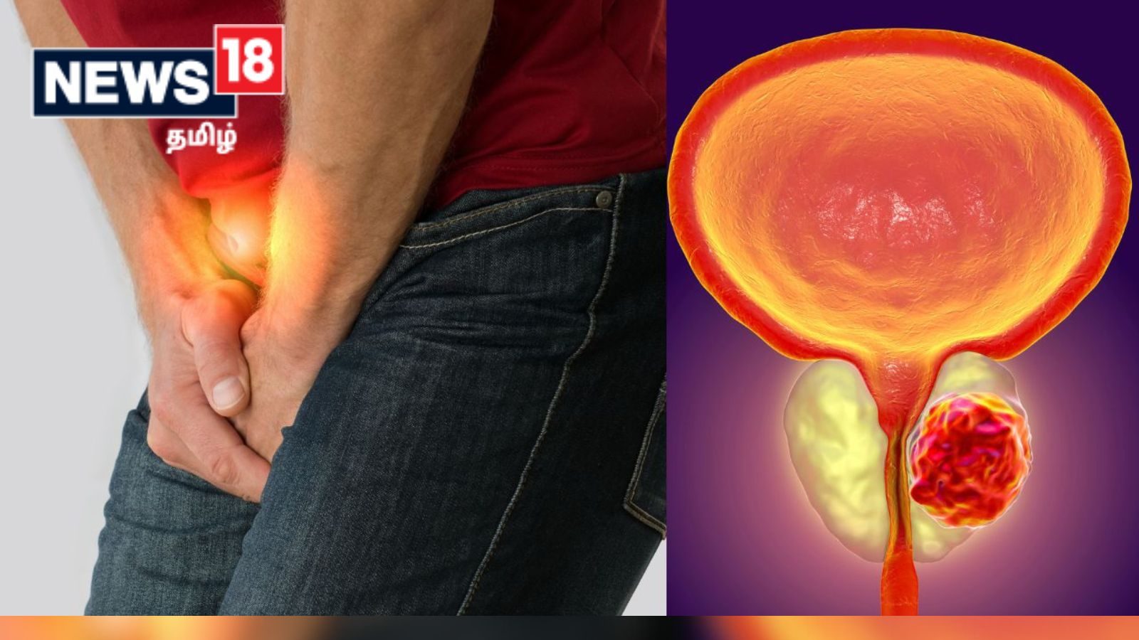 விதைப்பை புற்றுநோயை எப்படி கண்டறிவது..? இந்த அறிகுறிகளை கவனியுங்கள்..!