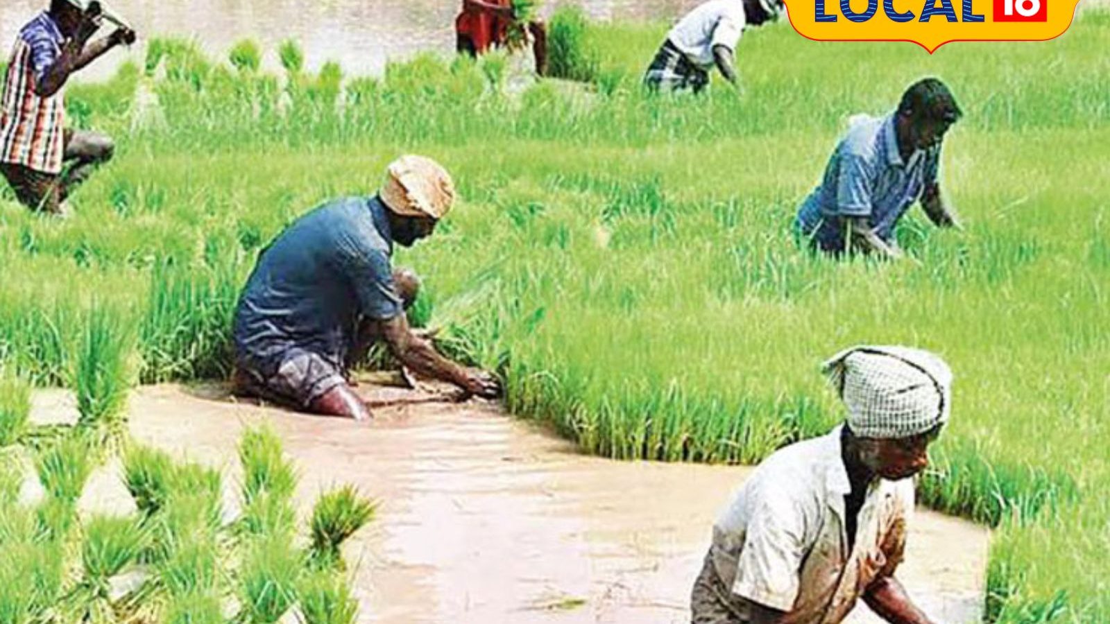 புதுக்கோட்டை விவசாயிகள் இடுபொருட்களை பெற உழவன் செயலியில் முன்பதிவு!