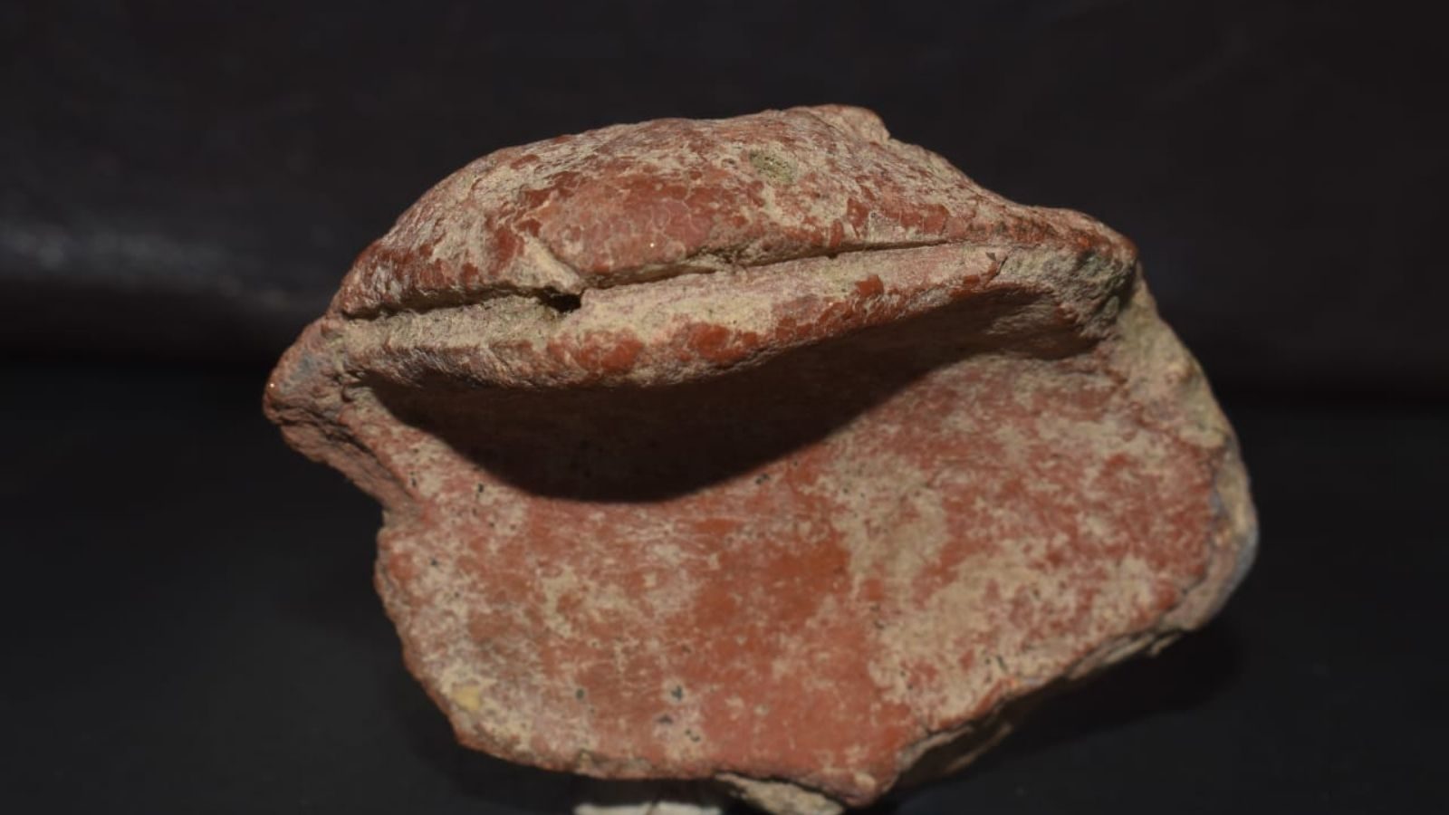 கீழடி அகழாய்வு.. பாம்பின் தலைப்பகுதி உருவம் கொண்ட சுடுமண் கண்டுபிடிப்பு!