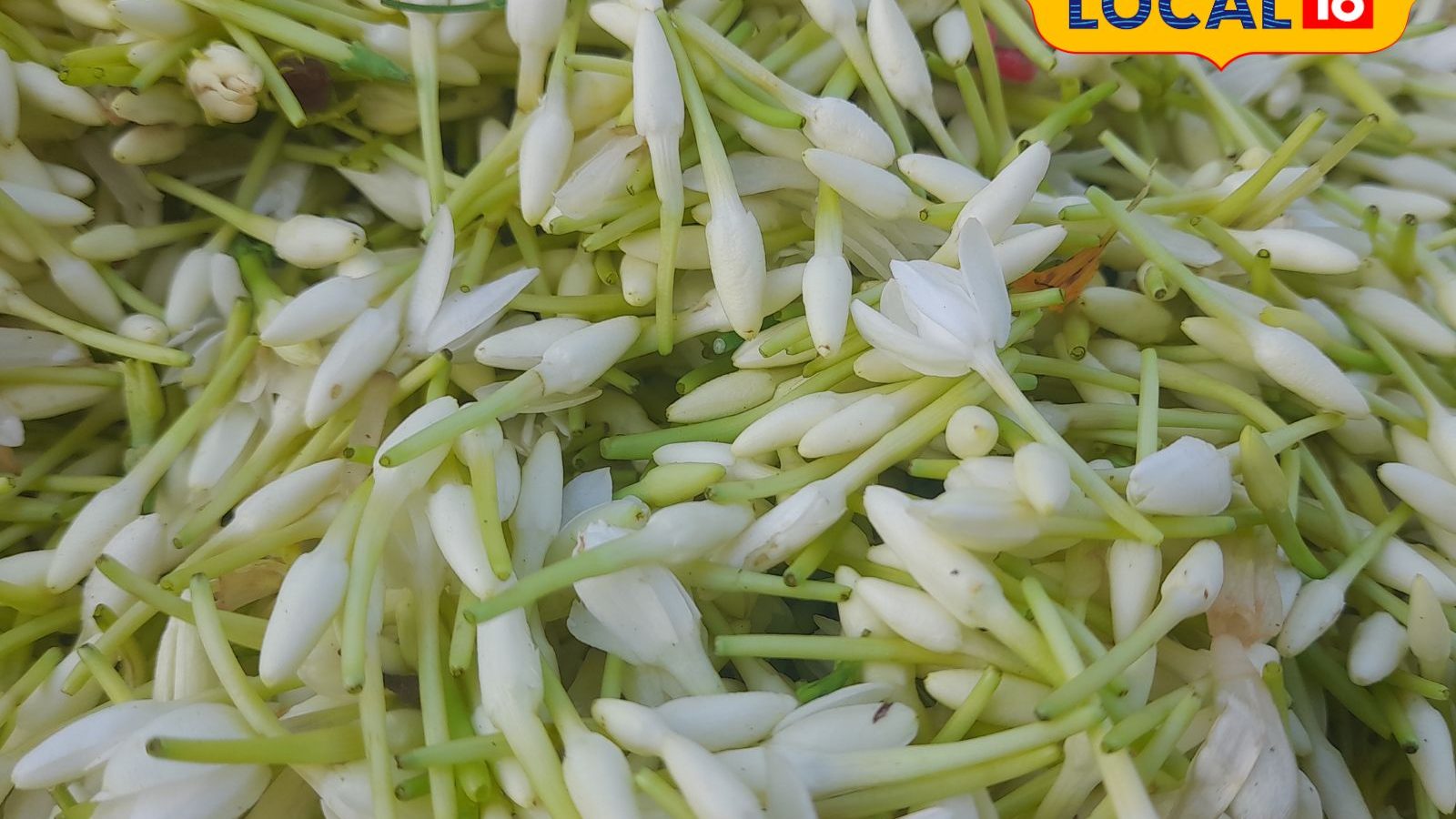 போன வாரத்தை விட இந்த வாரம் அதிகம்.. திருவாரூரில் விண்ணை முட்டும் பூக்களின் விலை..