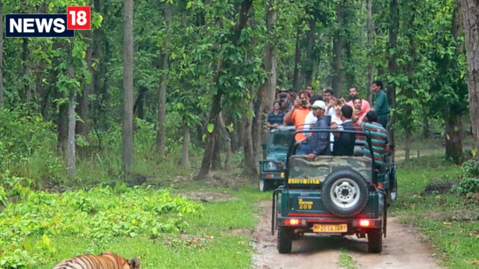 ஒரே காடு.. மூன்று மாநிலம்.. இரண்டு பெயர்கள் கொண்ட காட்டின் சுவாரசிய தகவல்கள்
