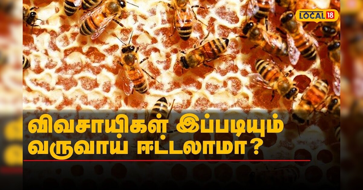 விவசாயிகள் இப்படியும் வருவாய் ஈட்டலாமா? | #Local18
