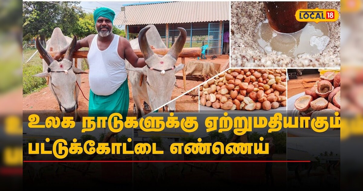 உலக நாடுகளுக்கு ஏற்றுமதியாகும் பட்டுக்கோட்டை எண்ணெய் | #Local18