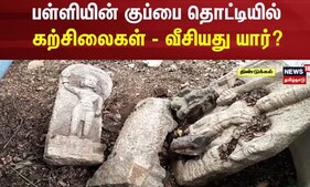 Dindigul News | பள்ளியின் குப்பை தொட்டியில் கற்சிலைகள் - வீசியது யார்? | Tamil News