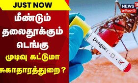 Just Now | தமிழ்நாட்டில் மீண்டும் தலைதூக்கும் டெங்கு - முடிவு கட்டுமா சுகாதாரத்துறை | Dengue
