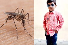 சென்னையில் டெங்கு காய்ச்சலால் 4 வயது சிறுவன் உயிரிழப்பு!
