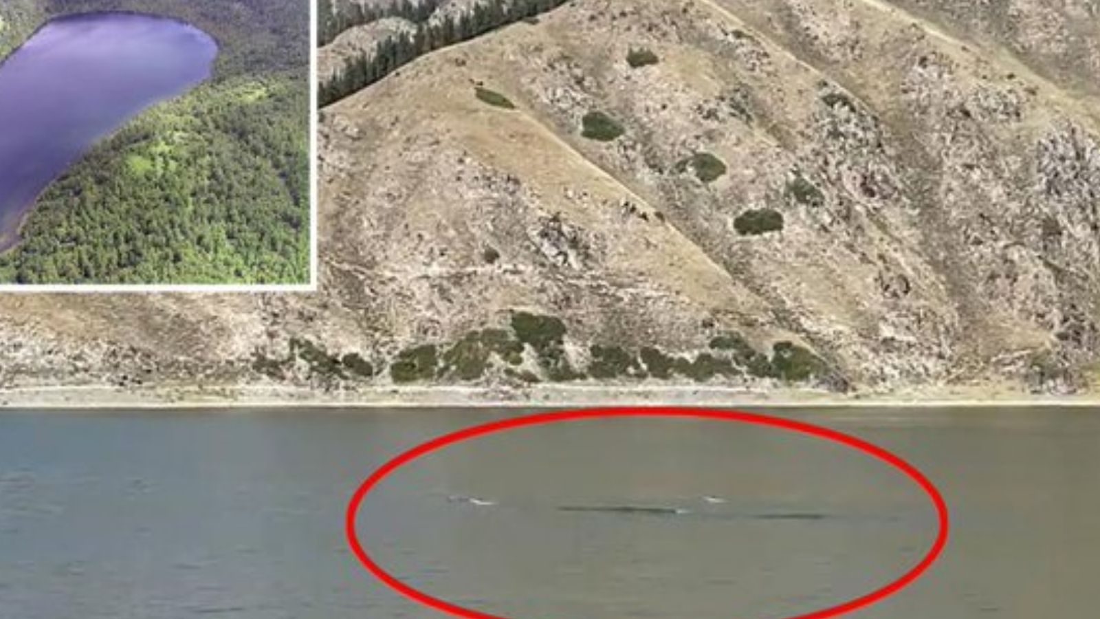 Makhluk setinggi 50 kaki ditemukan di sungai?  Para ilmuwan melakukan penelitian ekstensif
