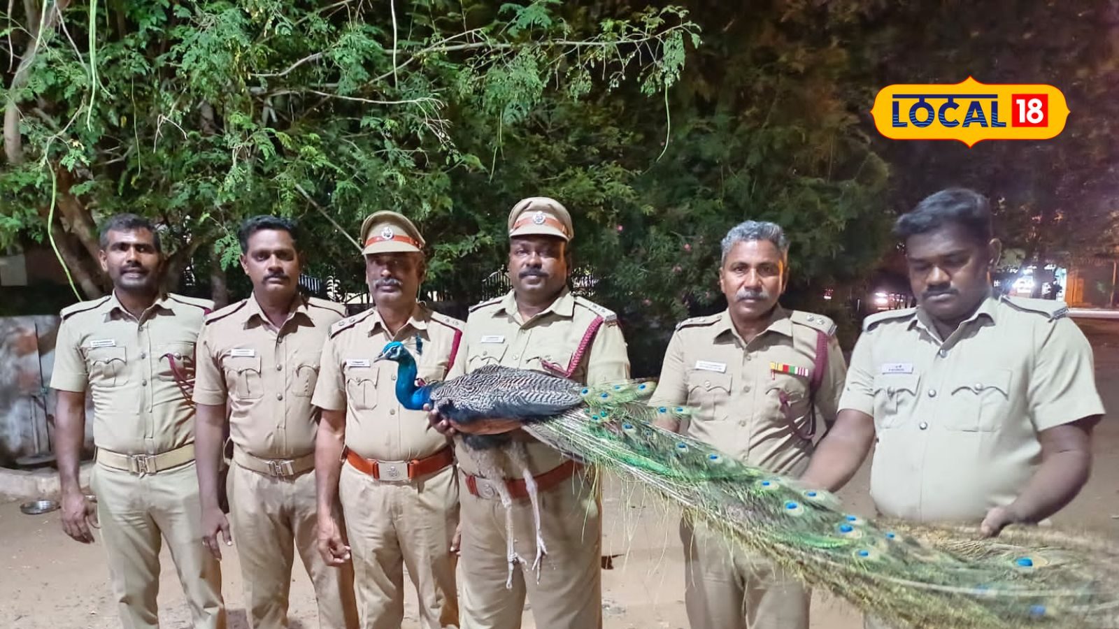 ஈரோட்டில் கிணற்றில் விழுந்த தேசிய பறவை.. 80 அடி ஆழத்தில் தவித்த மயிலை போராடி மீட்ட வீரர்கள்!