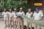 கிணற்றில் தவறி விழுந்த மயில்.. போராடி மீட்ட வீரர்கள்!