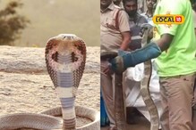 குற்றாலத்தில் சுற்றிய நாகம்.. அலறியடித்து ஓடிய மக்கள்!
