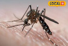 Dengue Fever : டெங்கு பரவாமல் இருக்க விடியற்காலை இதை கட்டாயம் பண்ணுங்க.. டாக்டர் சொல்லும் அட்வைஸ்..
