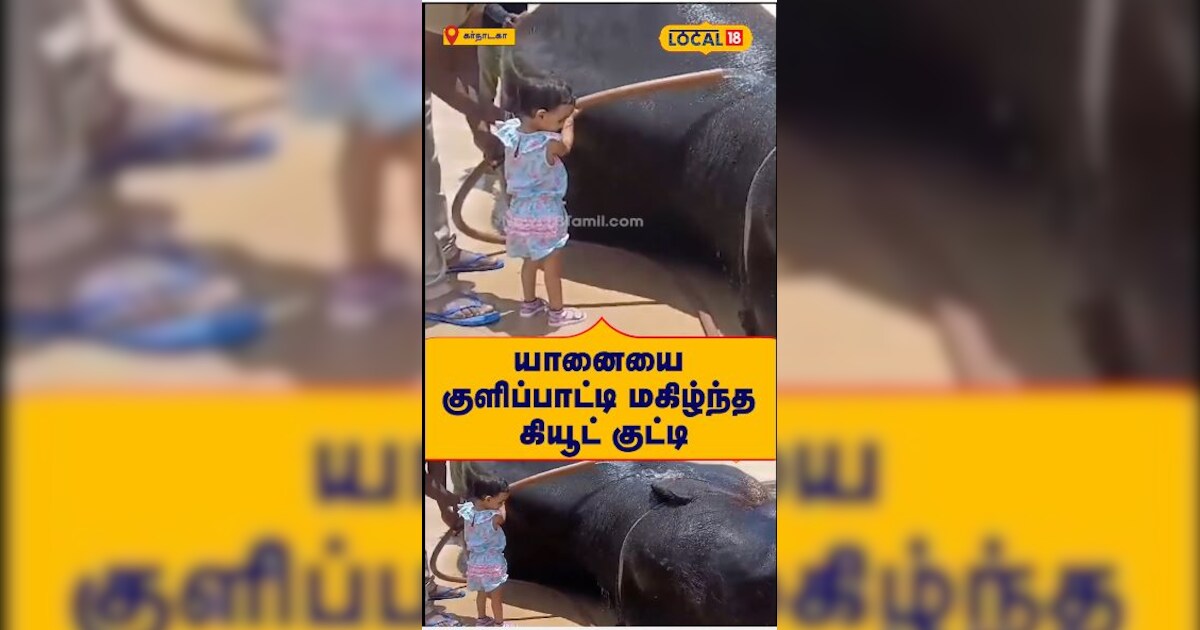 யானையை குளிப்பாட்டி மகிழ்ந்த கியூட் குட்டி