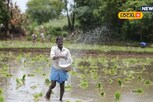 கூடுதல் மகசூல் தரும் புதிய நெல் ரகங்களை பயிரிட ஆலோசனை!
