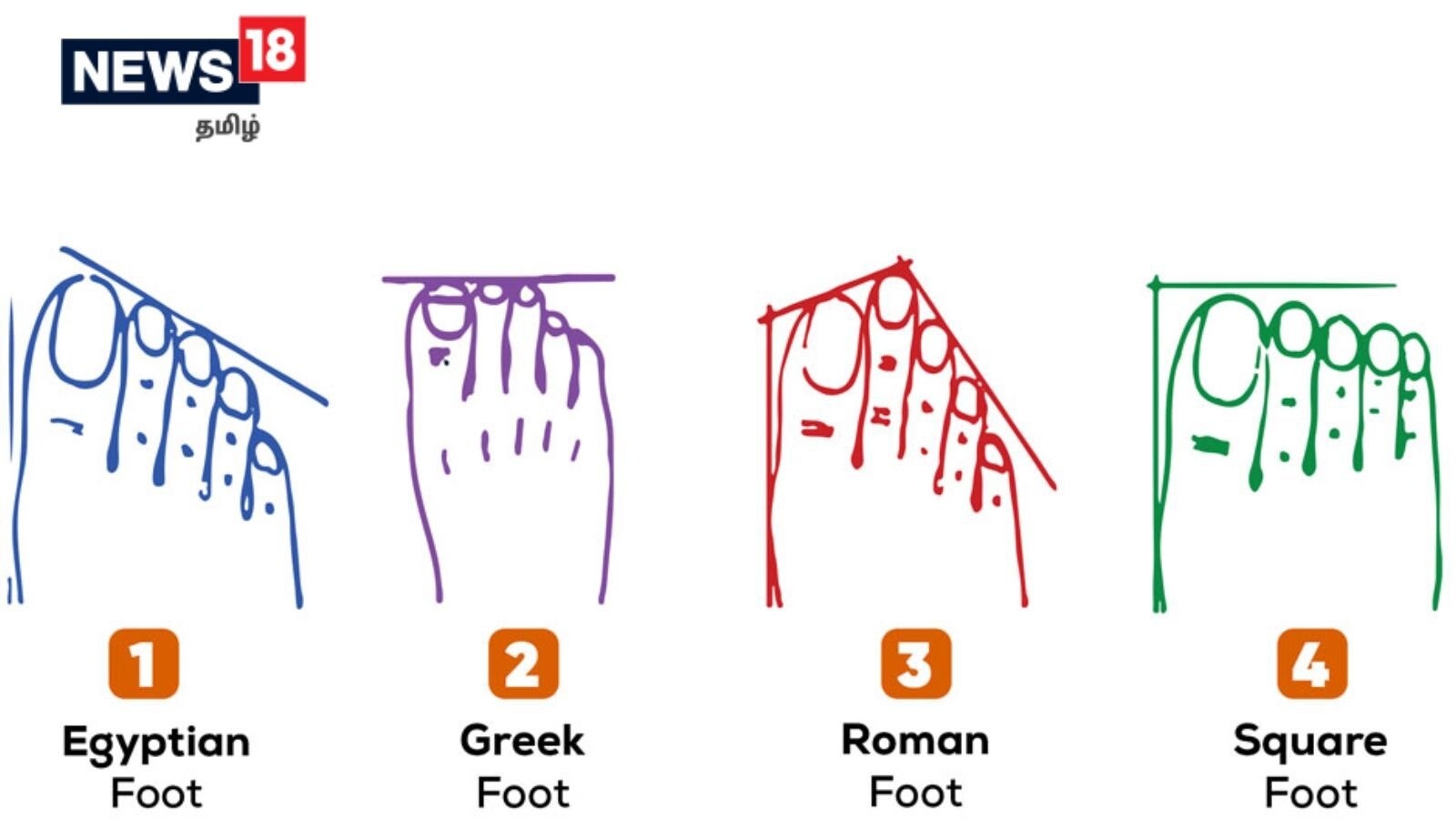 உங்கள் கால்விரல்கள் அமைப்பு கூட நீங்கள் யார் என்பதை சொல்லும் தெரியுமா? உங்களது கால் எப்படி?