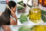 உங்க தலைமுடி பிரச்சனைகளுக்கு குட்-பை சொல்ல.. கற்றாழை எண்ணெய்.!