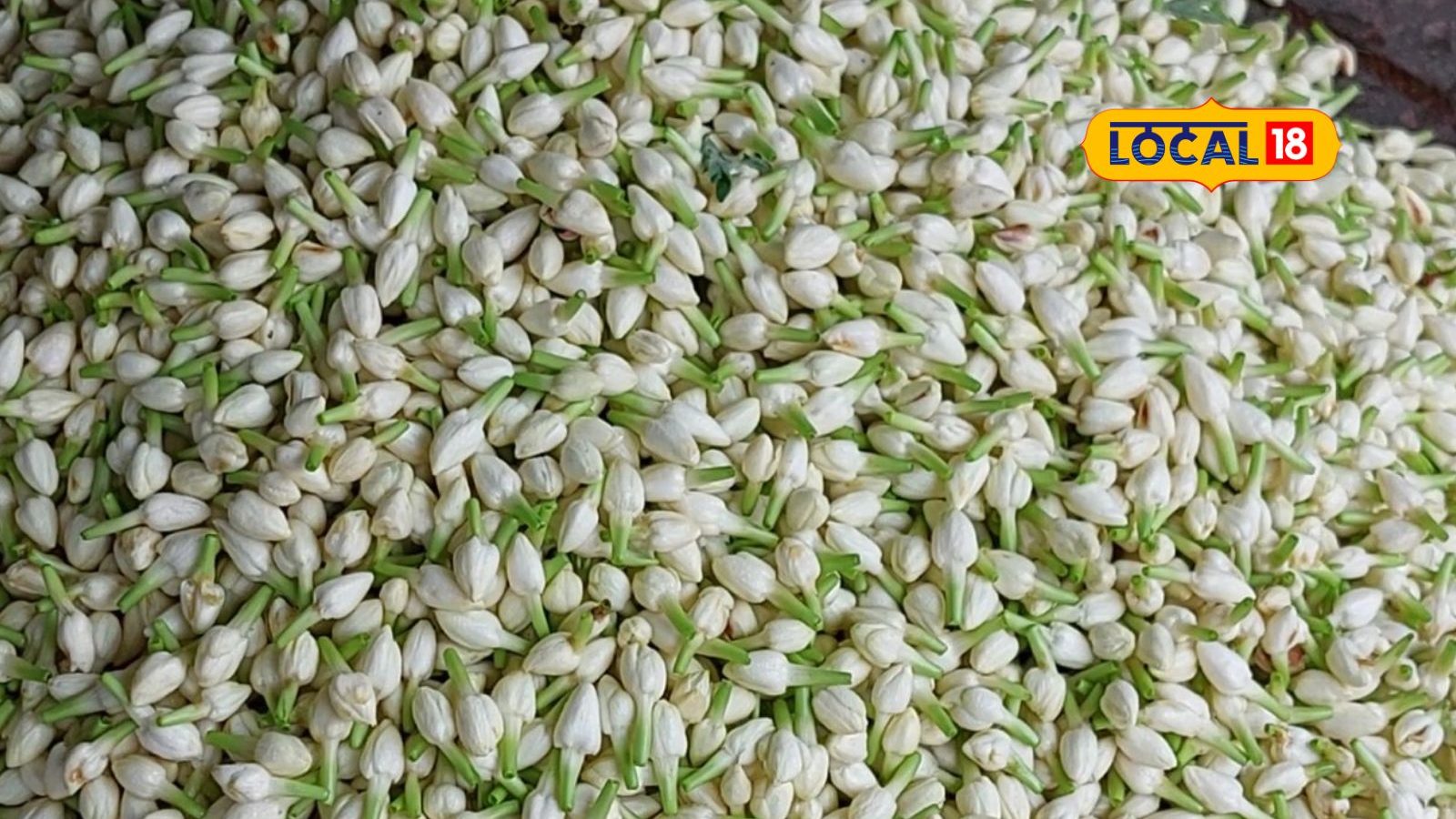 விநாயகர் சதுர்த்தி கொண்டாட்டம்... மதுரை பூச்சந்தையில் உச்சத்தை எட்டிய விலை.. மல்லி பூ கிலோ இவ்வளவா?