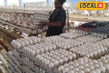 Egg Price | முட்டை விலை திடீர் உயர்வு.. நாமக்கல்லில் ஒரு முட்டையின் விலை எவ்வளவு தெரியுமா?