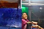 டிக்கெட் கூட குடையும் சேர்ந்து கொடுங்க...அரசுபேருந்தில் பயணிகள் அவதி
