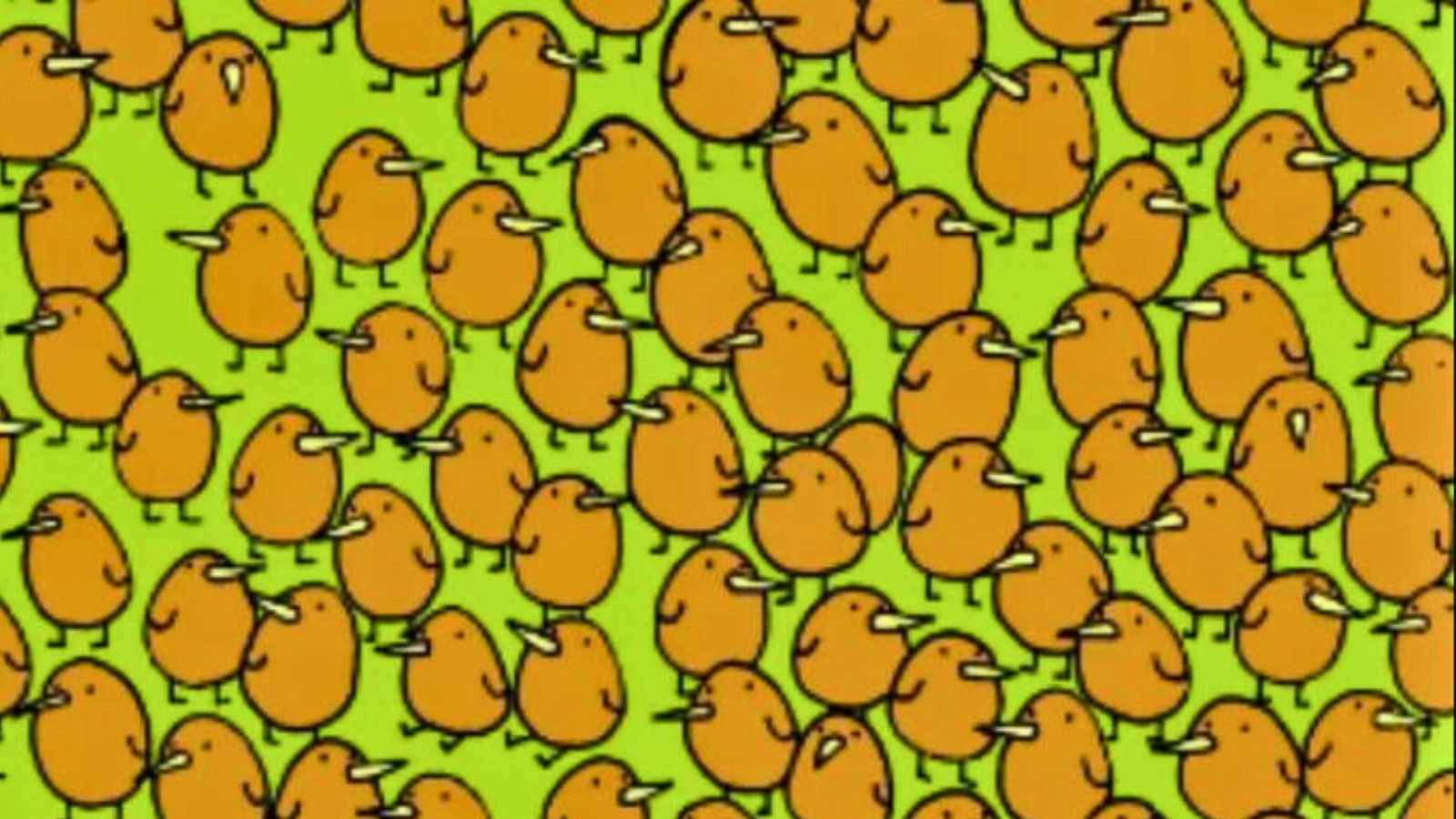 பறவைகளுக்கு நடுவே மறைந்திருக்கும் கிவி பழங்கள்.. உங்கள் கண்களுக்கு தெரிகிறதா.?