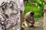 விவசாய நிலத்தில் சிறுத்தையின் கால்தடம்..பீதியில் உறைந்த பொதுமக்கள் !