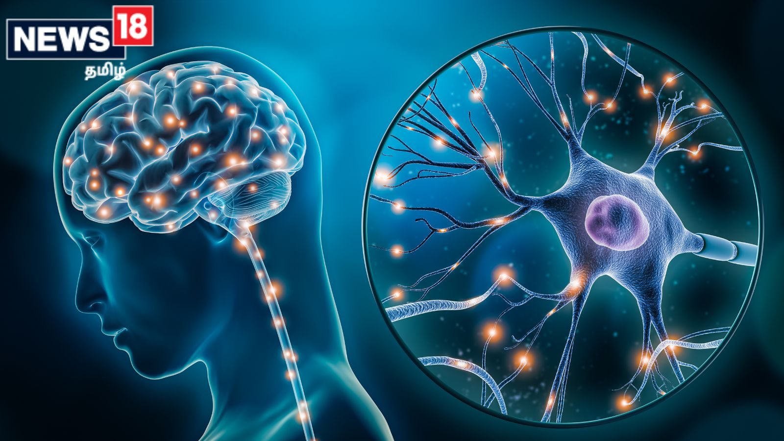 நரம்பியல் நோய்களுக்கான அறிகுறிகள் எப்படி இருக்கும் தெரியுமா.? மருத்துவ விளக்கம்..!