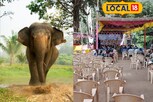 யானை நடமாட்டத்தால் பீதி.. களையிழந்த சுருளி சாரல் விழா..
