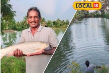 மீன் வளர்ப்பில் வித்தியாசமான முறை.. என்ன தெரியுமா?