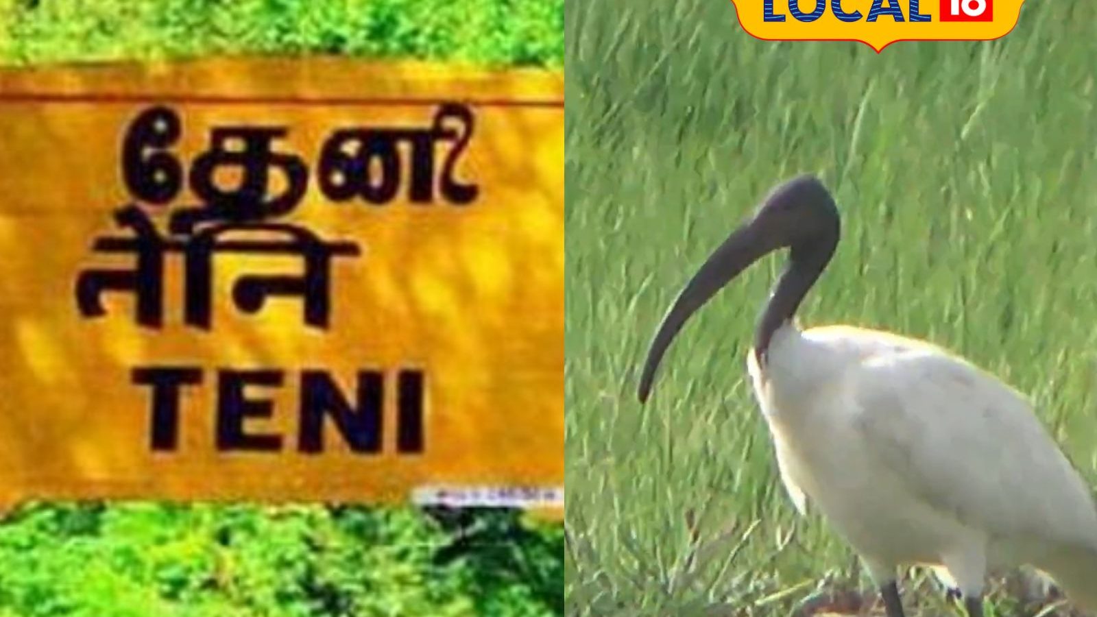 தேனி சுற்றுவட்டார பகுதிகளில் முகாமிட்டுள்ள வெளிநாட்டு பறவைகள்..! ஆச்சர்யத்துடன் பார்த்து செல்லும் மக்கள்..!