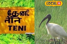 தேனி சுற்றுவட்டார பகுதிகளில் முகாமிட்டுள்ள வெளிநாட்டு பறவைகள்..! ஆச்சர்யத்துடன் பார்த்து செல்லும் மக்கள்..!