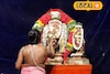 திருவாரூரில் நடராஜருக்கு சிறப்பு அபிஷேகம்..