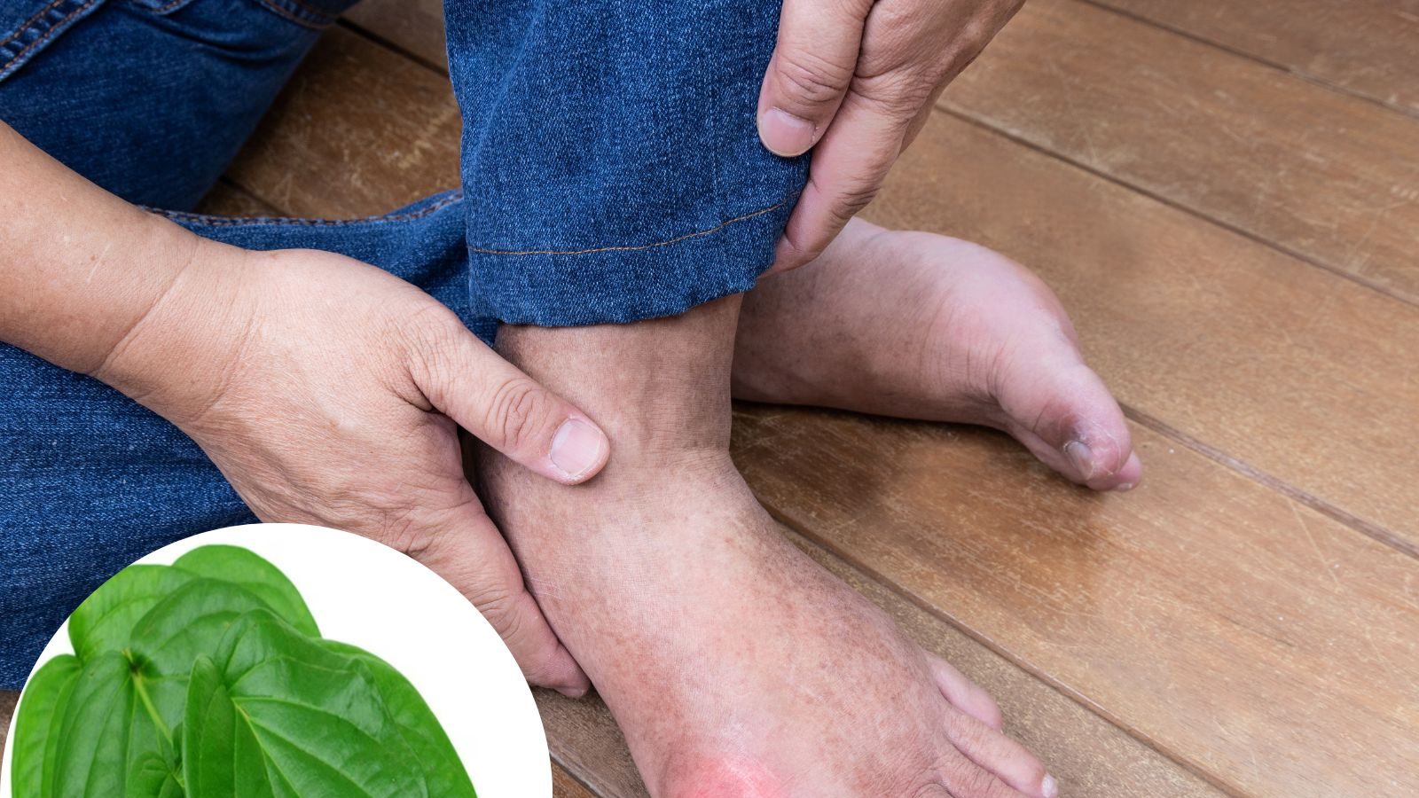 யூரிக் ஆசிட் அளவை சட்டுனு குறைக்கும் 5 இலைகள்.. எப்படி சாப்பிட வேண்டும் தெரியுமா..?