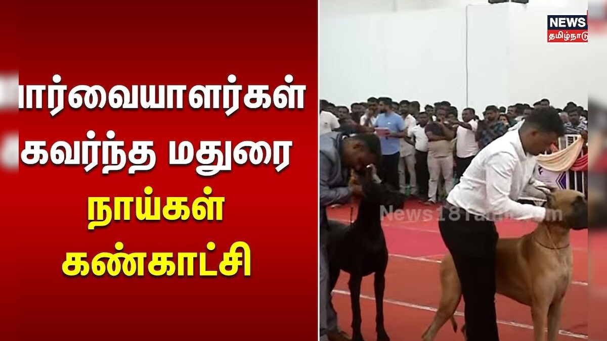 Madurai Dog Exhibition பார்வையாளர்கள் கவர்ந்த மதுரை நாய்கள் கண்காட்சி