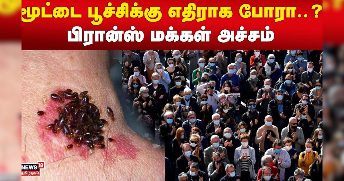 மூட்டை பூச்சிக்கு எதிராக போரா..? - பிரான்ஸ் மக்கள் அச்சம் | France | Bed Bugs | Tamil News