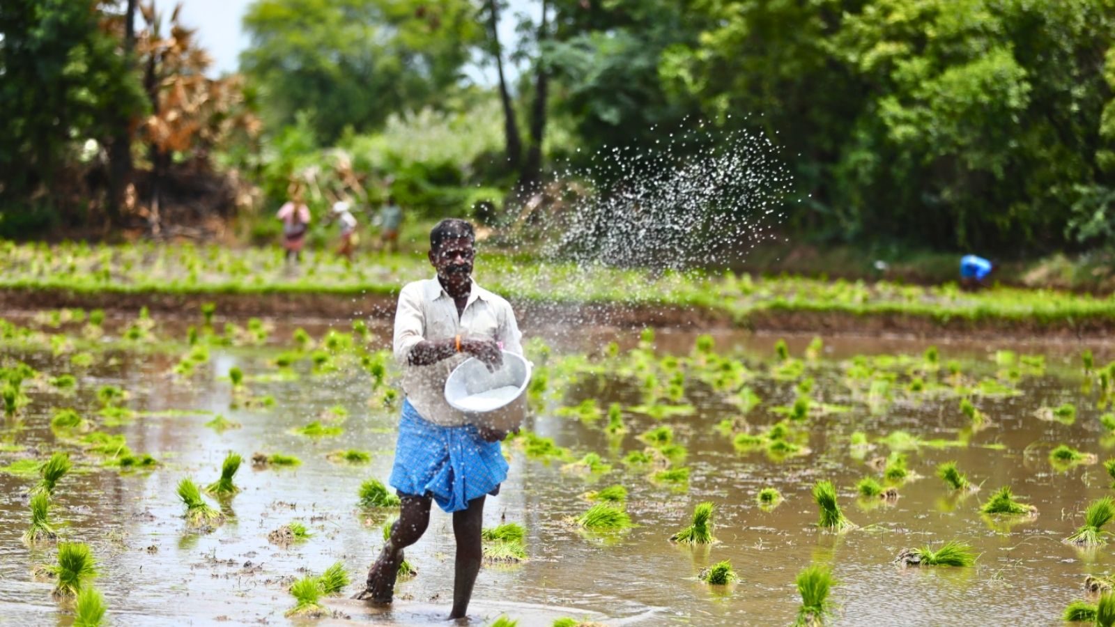 PM-KISAN :  விவசாயிகளுக்கு ₹2000! பிஎம் கிசான் திட்டத்தின் 15-வது தவணை.. அக்டோபர் 15-க்குள் இந்த 3 விஷயங்களை மறக்காம பண்ணிடுங்க..