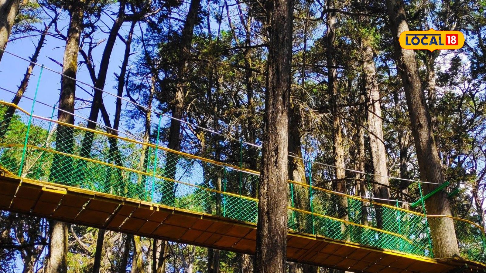 உதகை அருகே இப்படி ஒரு காடா? பொழுதை கழிக்க அட்டகாசமான ஸ்பாட்!